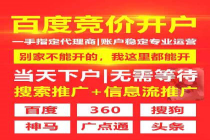 行业报告：专业SEM托管的成功实践与挑战